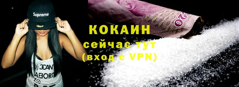 купить наркотики цена  мега вход  Cocaine Колумбийский  Новое Девяткино 